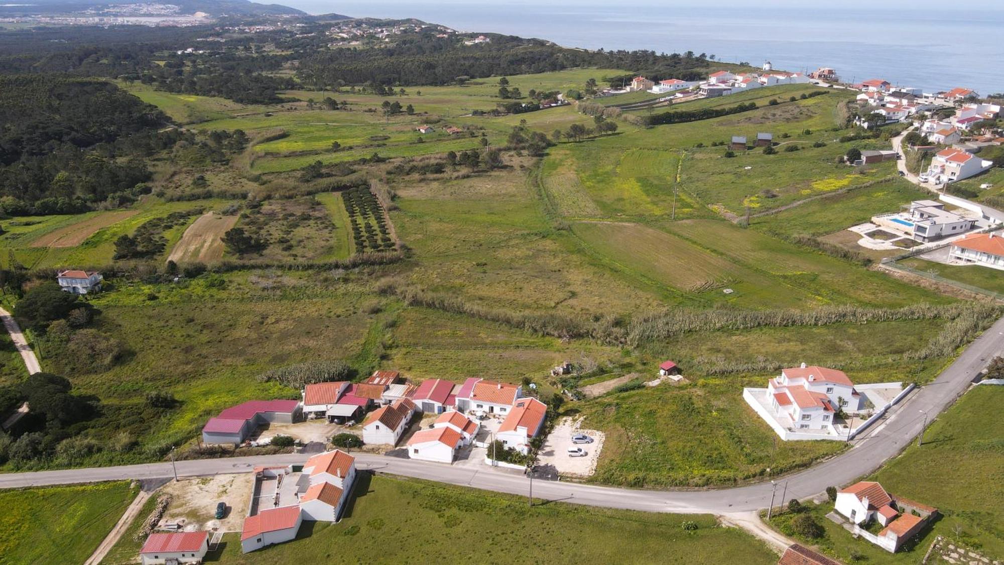 Casas Com Amoras In Serra Da Pescaria Famalicão Dış mekan fotoğraf