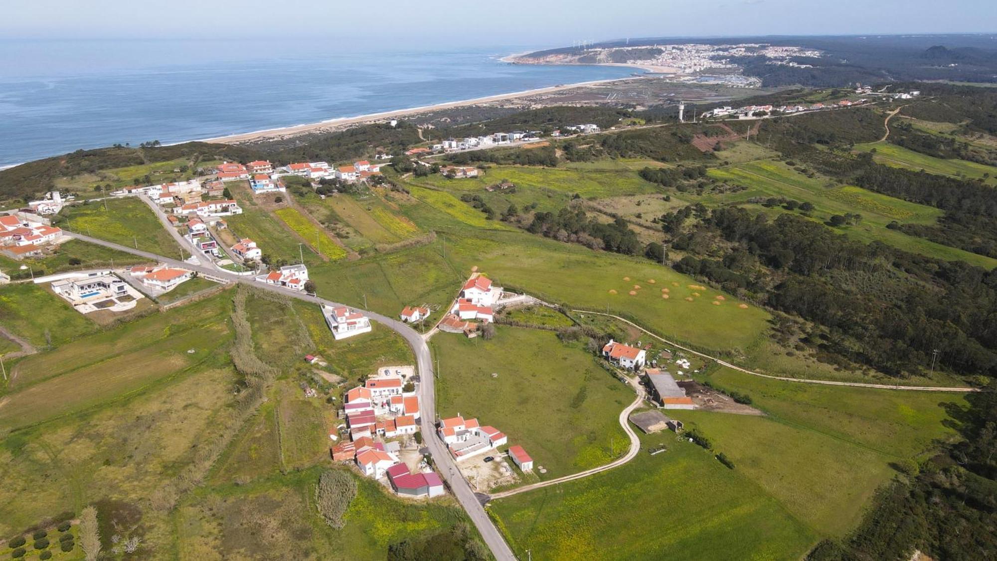 Casas Com Amoras In Serra Da Pescaria Famalicão Dış mekan fotoğraf